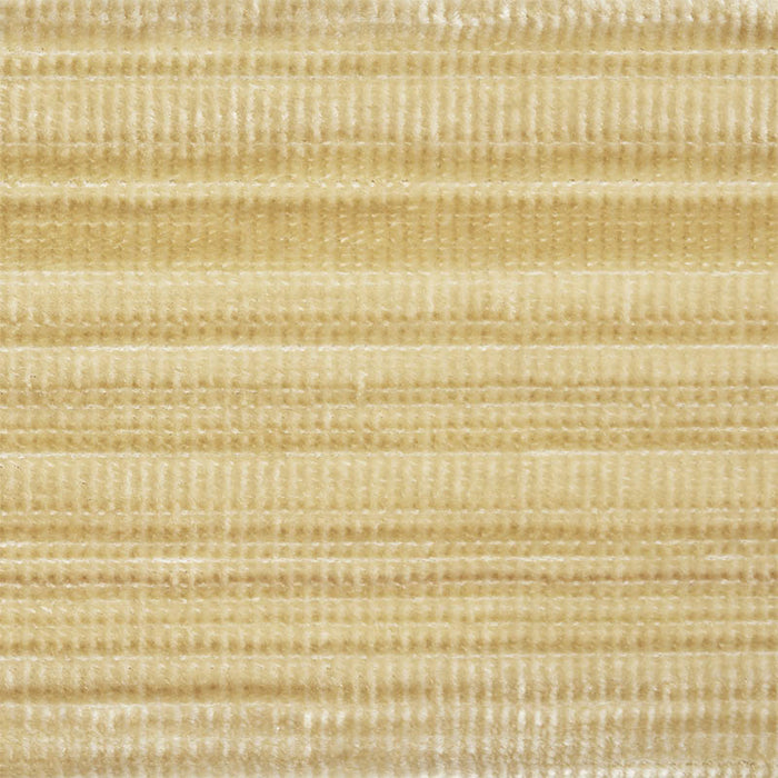 Schumacher Gaspard Velvet Tape Gold Trim 74241