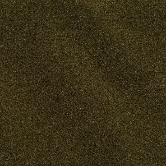 Schumacher San Carlo Mohair Velvet Olive Fabric Sample 74500