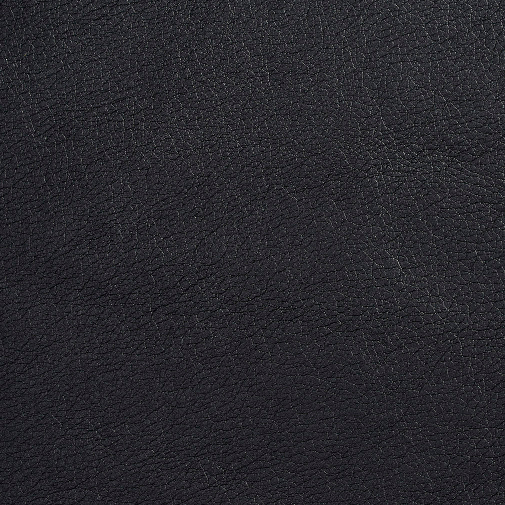 Charlotte Black Fabric Sample 7517