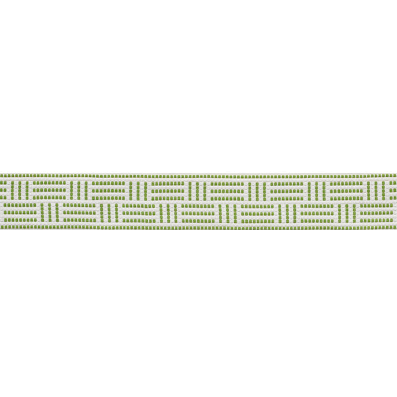 Schumacher Brickell Tape Leaf Trim 75961