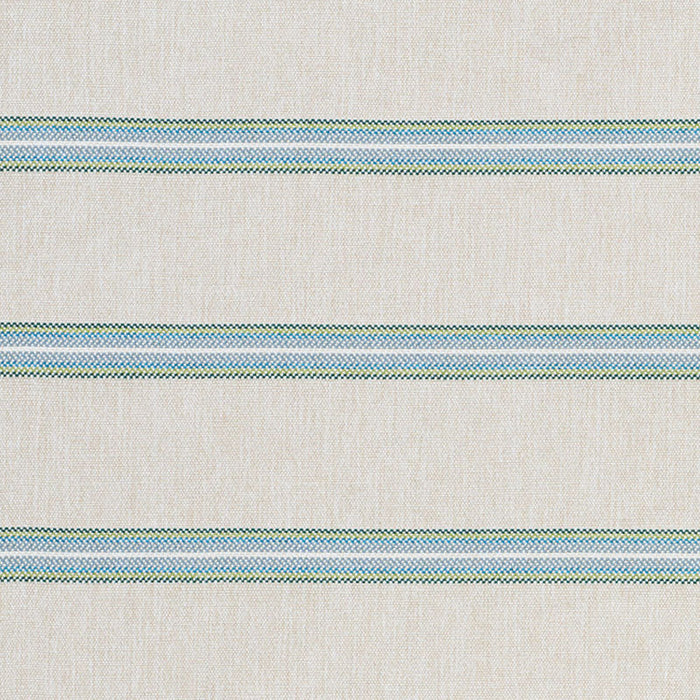 Schumacher Garden Stripe Indoor/Outdoor Meadow Fabric Sample 75970