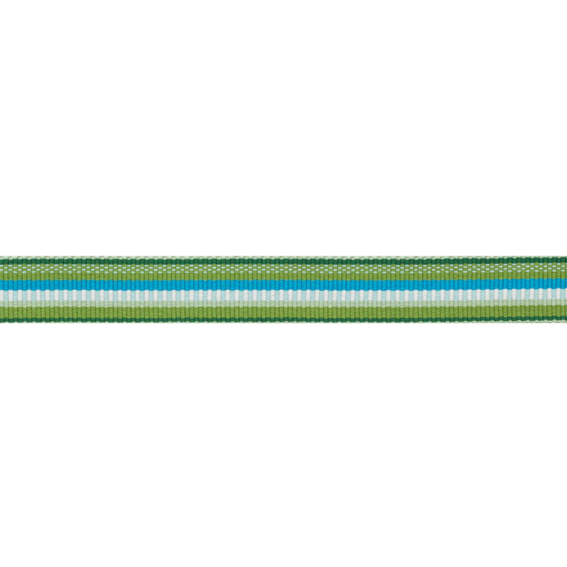 Schumacher Primavera Tape Narrow Meadow Trim 75980