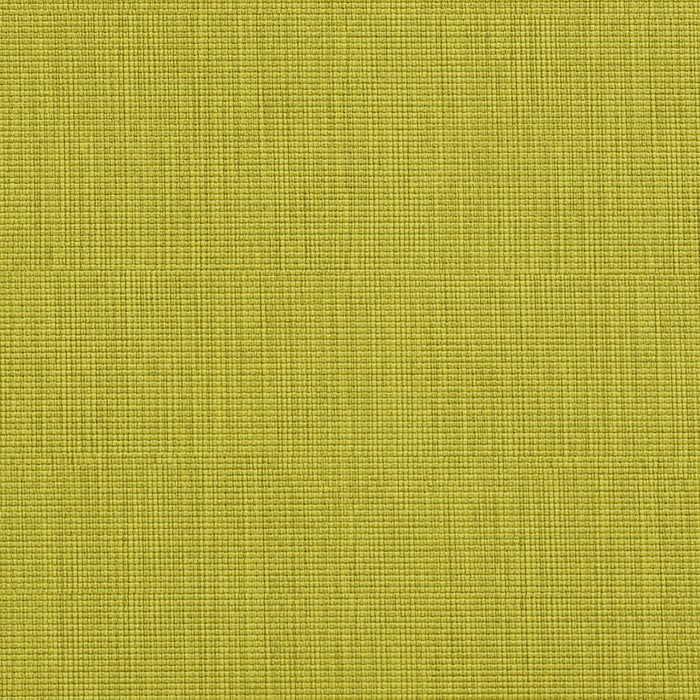 Charlotte Citrus Fabric 7603