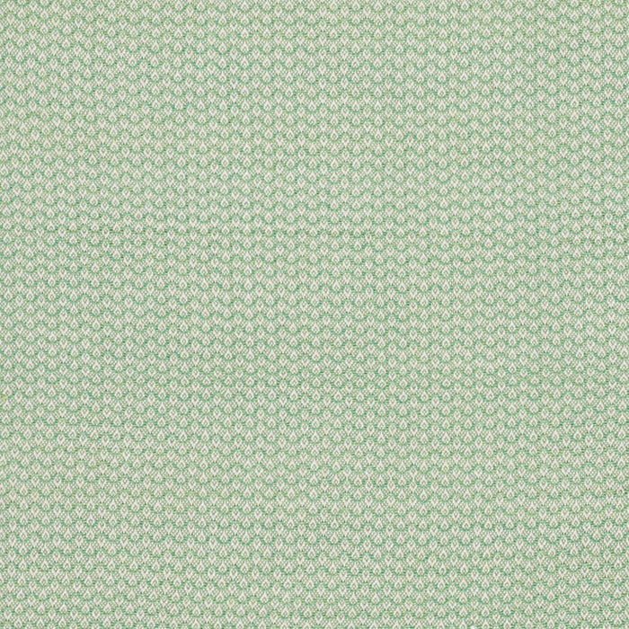 Schumacher Crosby Leaf Fabric Sample 76151