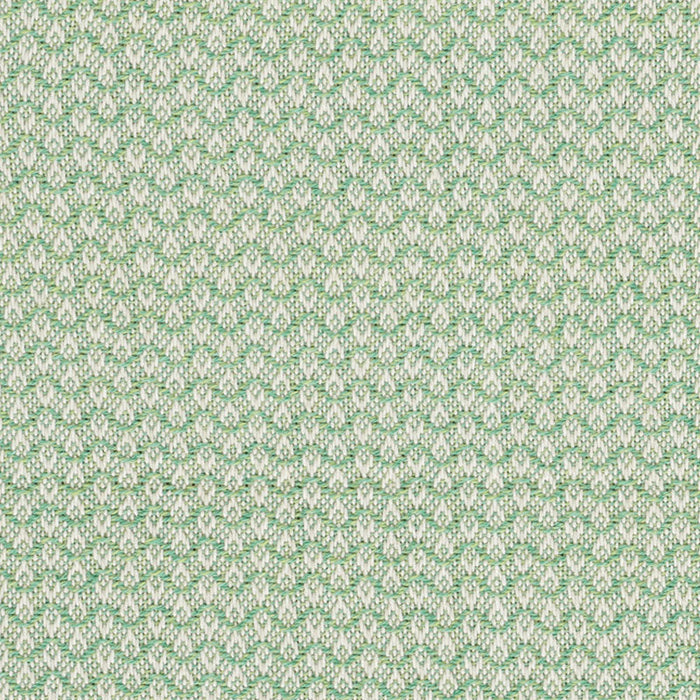 Schumacher Crosby Leaf Fabric Sample 76151