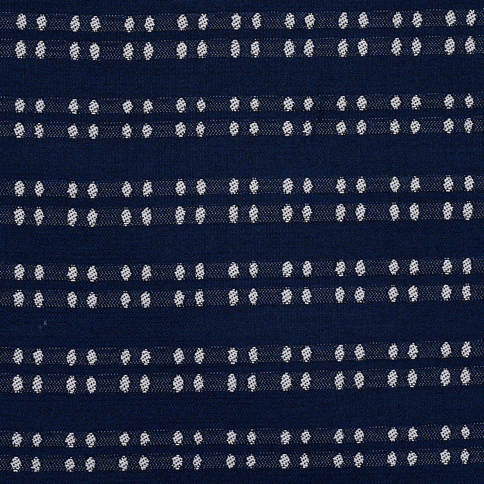 Schumacher Bolsa Indoor/Outdoor Navy Fabric Sample 76344