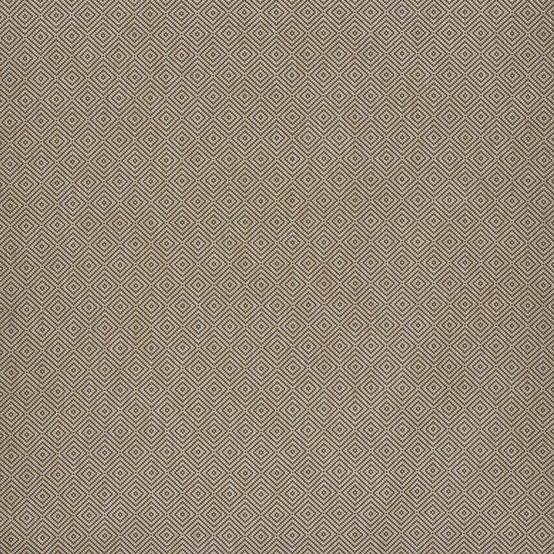 Schumacher Montane Raffia Fabric 76473