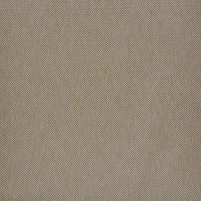 Schumacher Montane Raffia Fabric Sample 76473