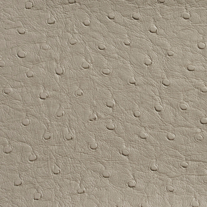 Charlotte Pewter Fabric 7702