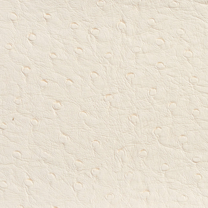 Charlotte Eggshell Fabric 7704