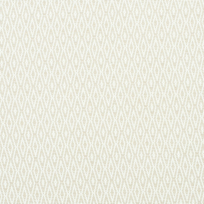 Schumacher Derby Diamond Performance Ivory Fabric Sample 77520