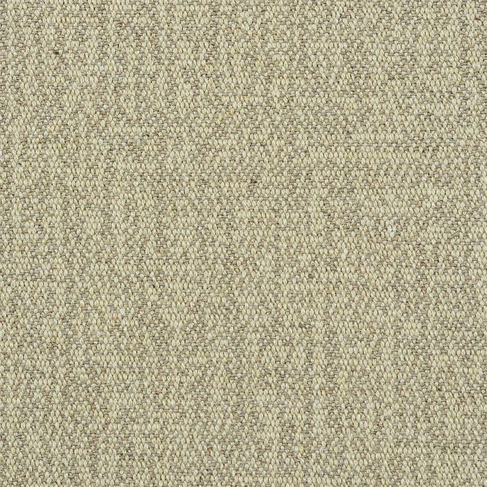 Schumacher Albert Performance Cotton Flax Fabric Sample 77802