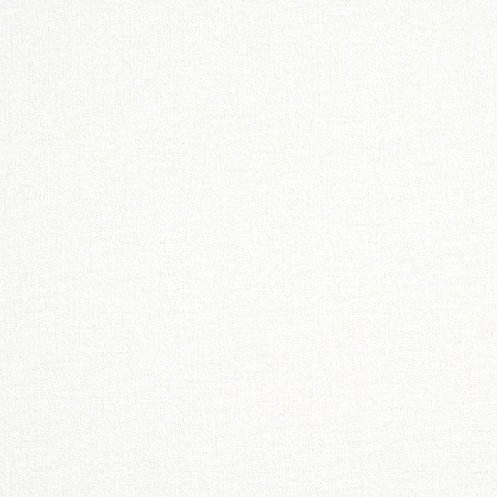 Schumacher Albert Performance Cotton White Fabric Sample 77808