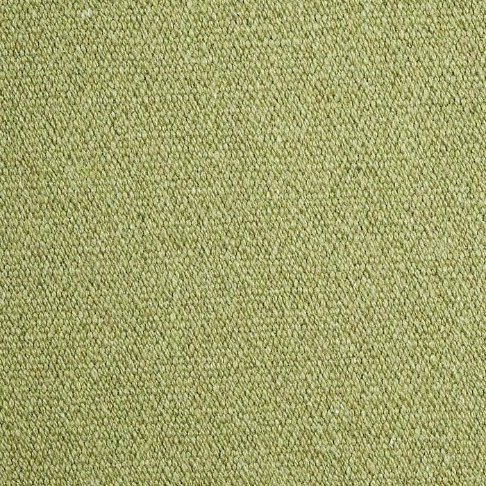 Schumacher Albert Performance Cotton Green Fabric Sample 77810