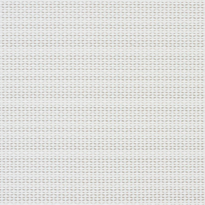 Schumacher Branford Indoor/Outdoor Neutral Fabric Sample 78542