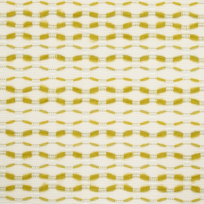 Schumacher Branford Indoor/Outdoor Lime Fabric Sample 78543