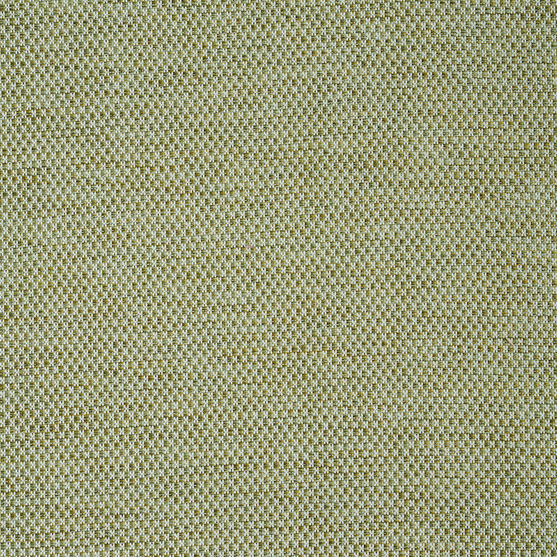 Schumacher Momo Hand Woven Texture Fern Fabric 78933