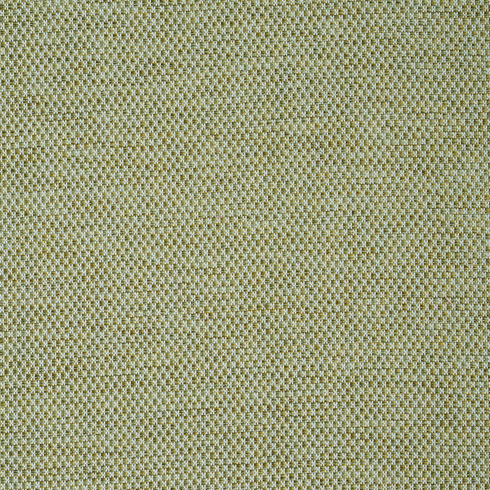 Schumacher Momo Hand Woven Texture Fern Fabric Sample 78933