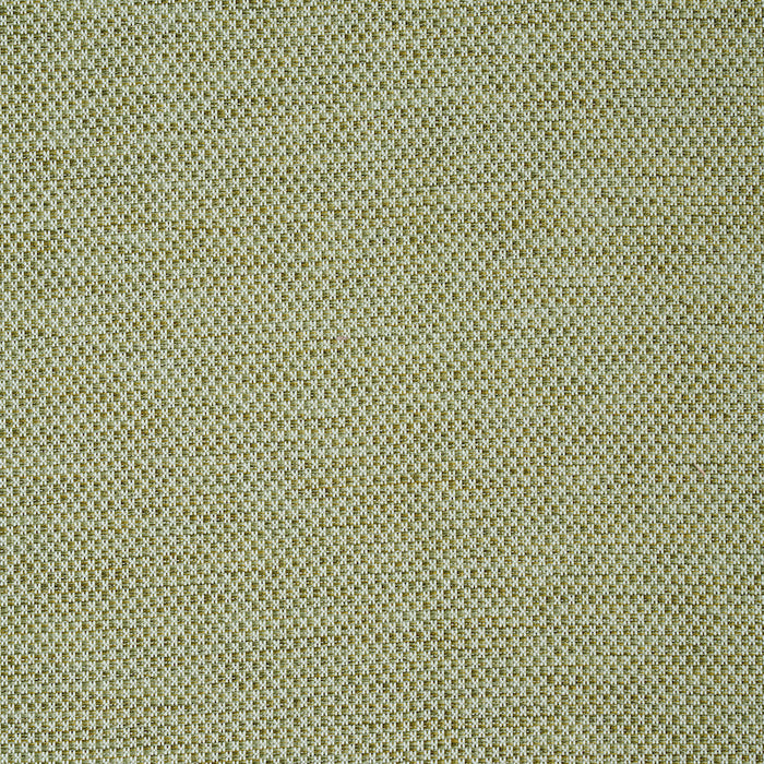 Schumacher Momo Hand Woven Texture Fern Fabric 78933