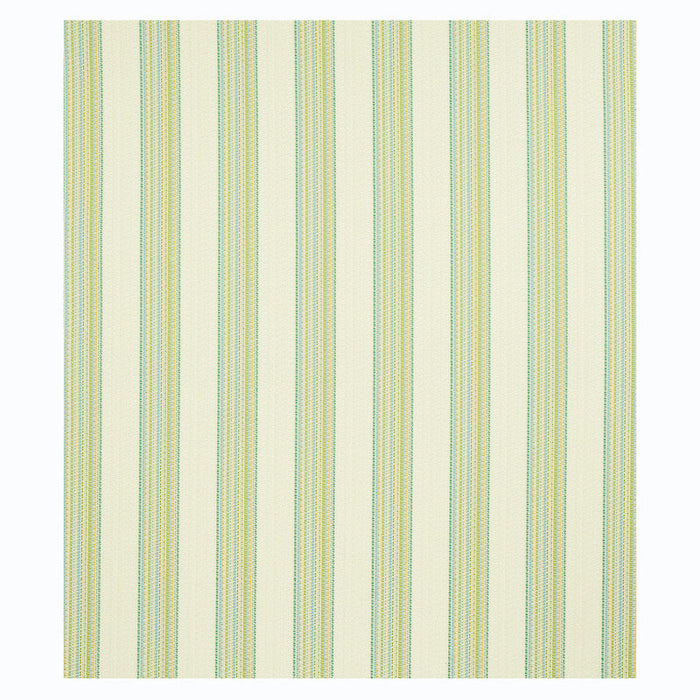 Schumacher Bendita Stripe Indoor/Outdoor Leaf Fabric Sample 79150