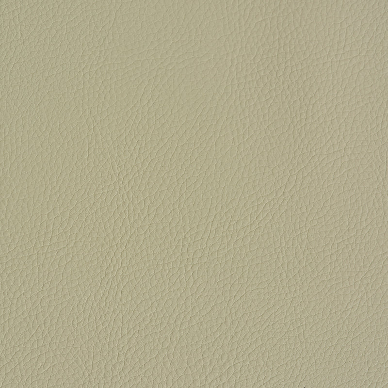 Schumacher Indoor/Outdoor Vegan Leather Dune Fabric 79553