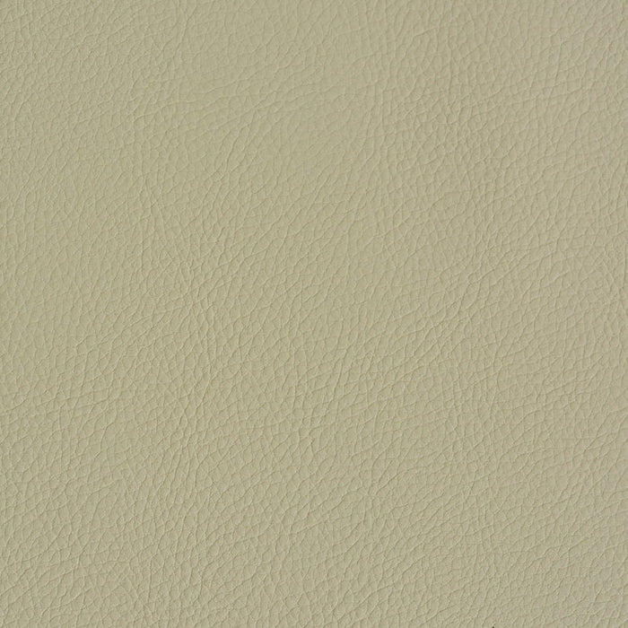 Schumacher Indoor/Outdoor Vegan Leather Dune Fabric Sample 79553