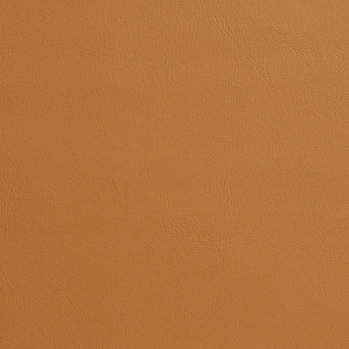 Charlotte Buckskin Fabric 7969