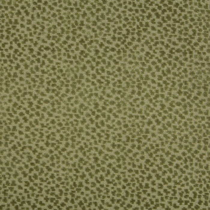 Brunschwig & Fils La Panthere Velvet Moss Fabric 8017126.3.0