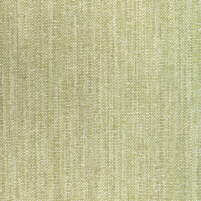 Brunschwig & Fils Rospico Plain Leaf Fabric 8022110.3.0