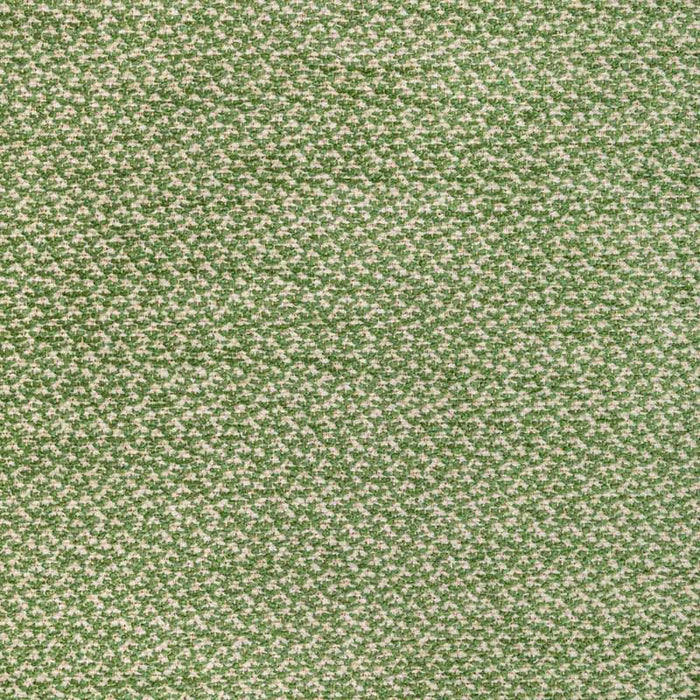 Brunschwig & Fils Sasson Texture Green Fabric 8022122.3.0