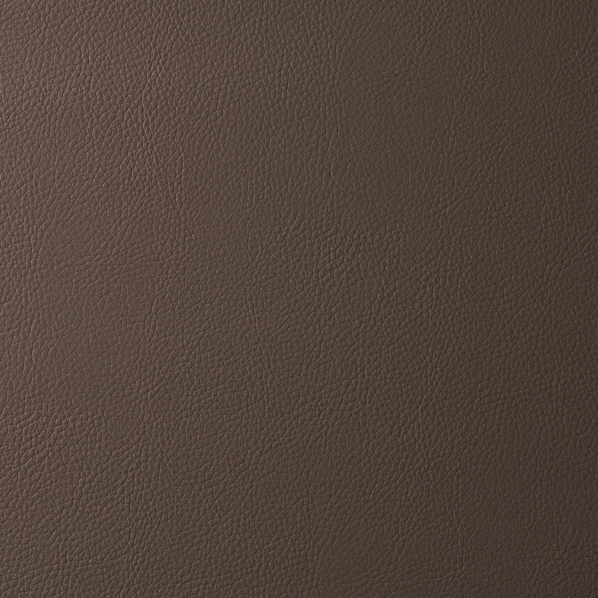 Schumacher Indoor/Outdoor Vegan Leather Java Fabric 80901