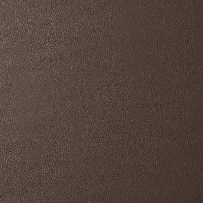 Schumacher Indoor/Outdoor Vegan Leather Java Fabric Sample 80901