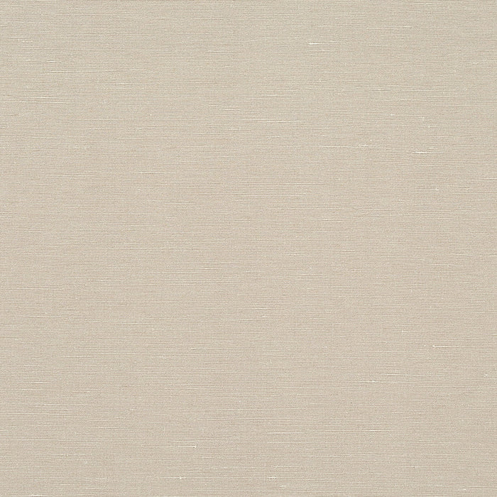 Schumacher Legere Ground Mineral Fabric Sample 80915