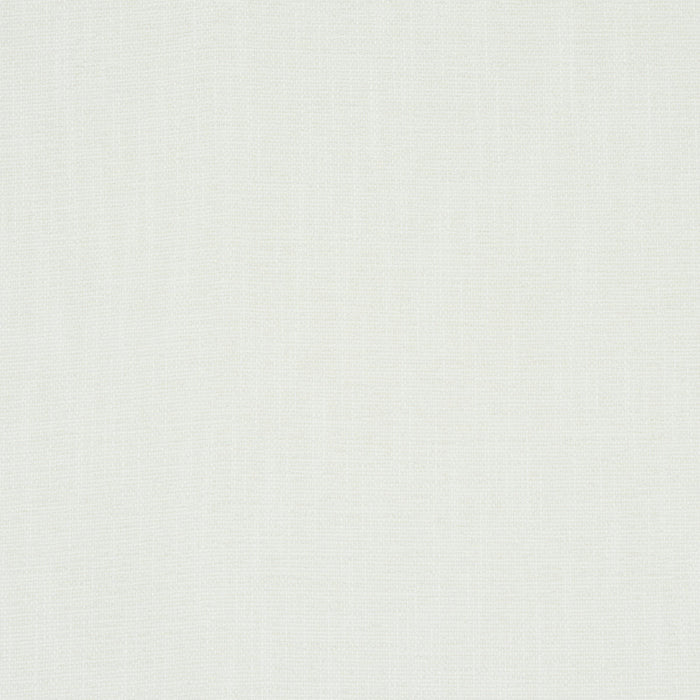 Schumacher Dean Indoor/Outdoor Ivory Fabric Sample 81122