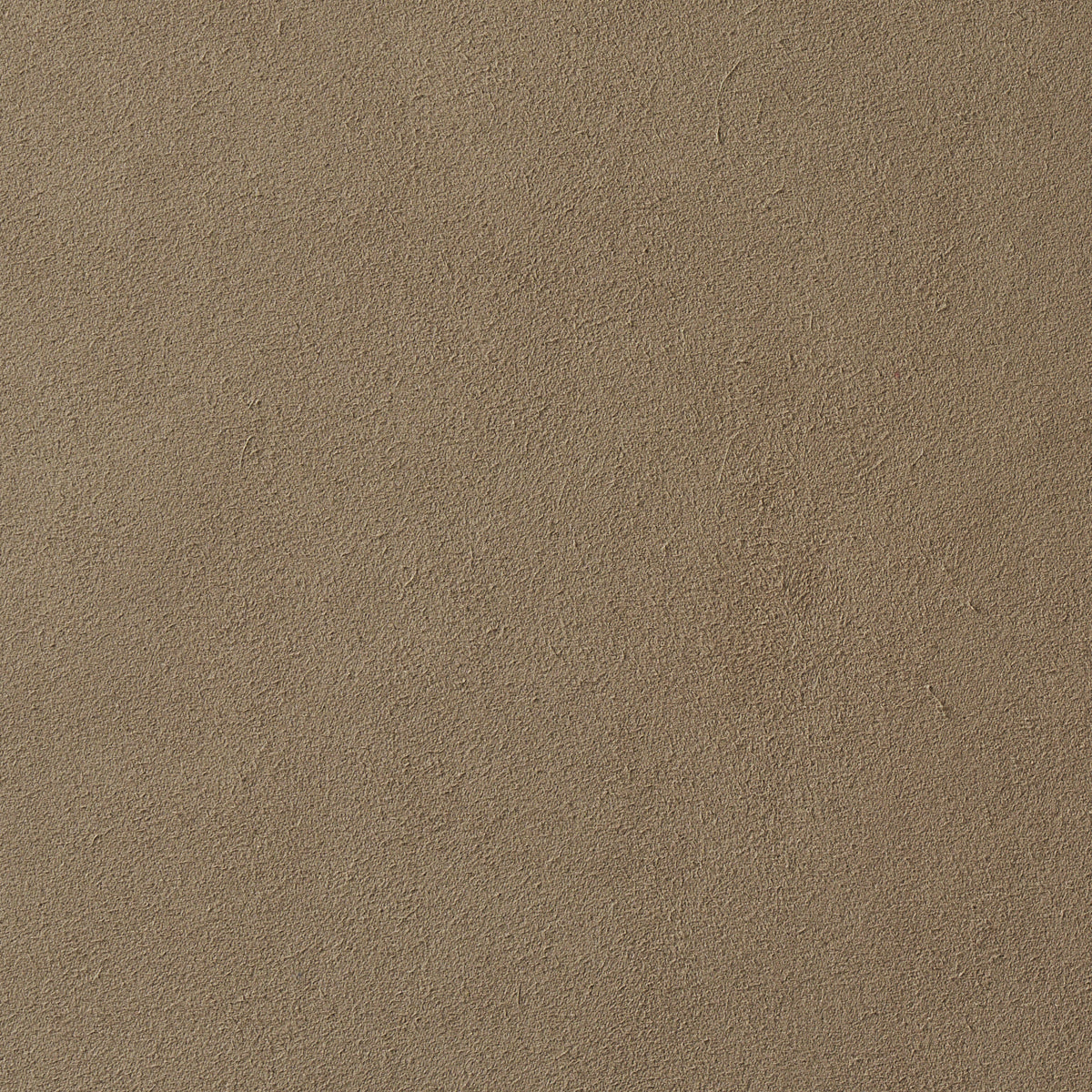 Schumacher Vegan Suede Fawn Fabric 81137