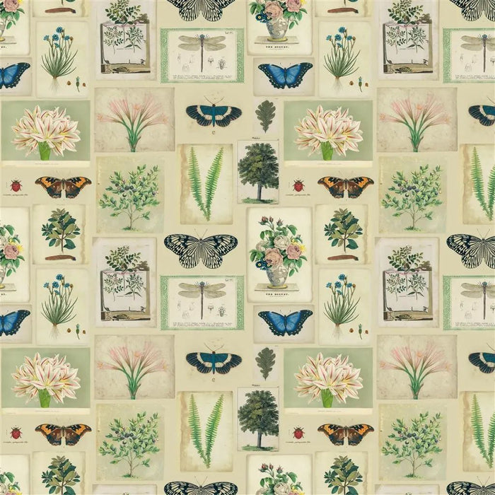 John Derian Flora And Fauna 1 Fabric FJD6007-01