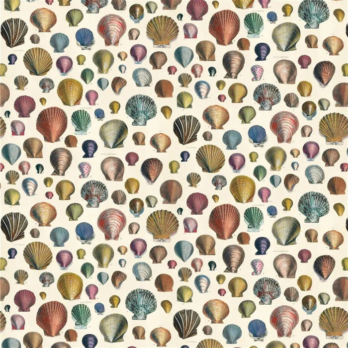 John Derian Captain Thomas Browns 1 Fabric FJD6003-01