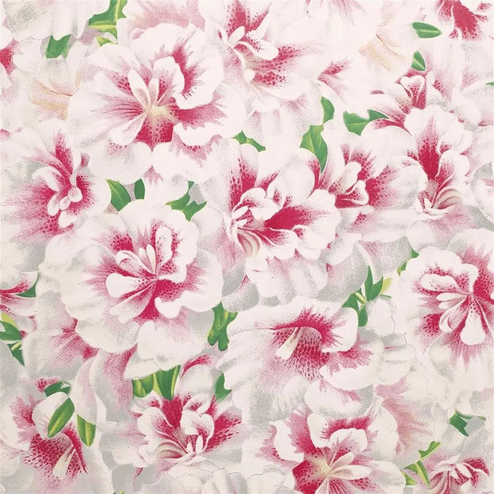 John Derian Variegated Azalea Azalea Wallpaper PJD6004/01