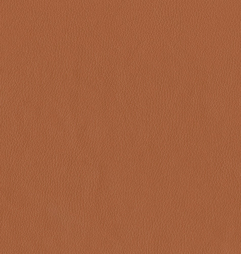 Brentano Sauganash Treaty Elm Fabric 9407-15