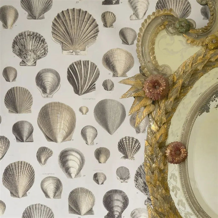 John Derian Captain Thomas Browns Shells Oyster Wallpaper PJD6000/02