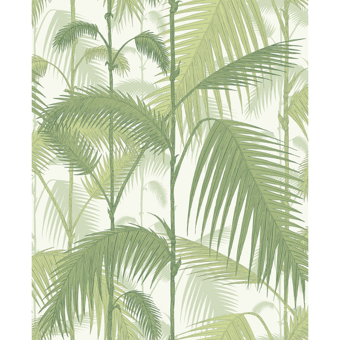 Cole & Son Palm Jungle Olive Gre/White Wallpaper 95/1001.CS.0