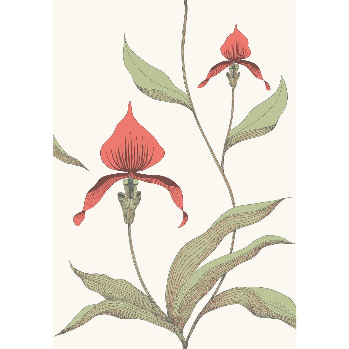 Cole & Son Orchid Red/White Wallpaper 95/10054.CS.0