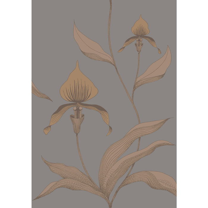 Cole & Son Orchid Bronze/Slate Wallpaper 95/10056.CS.0