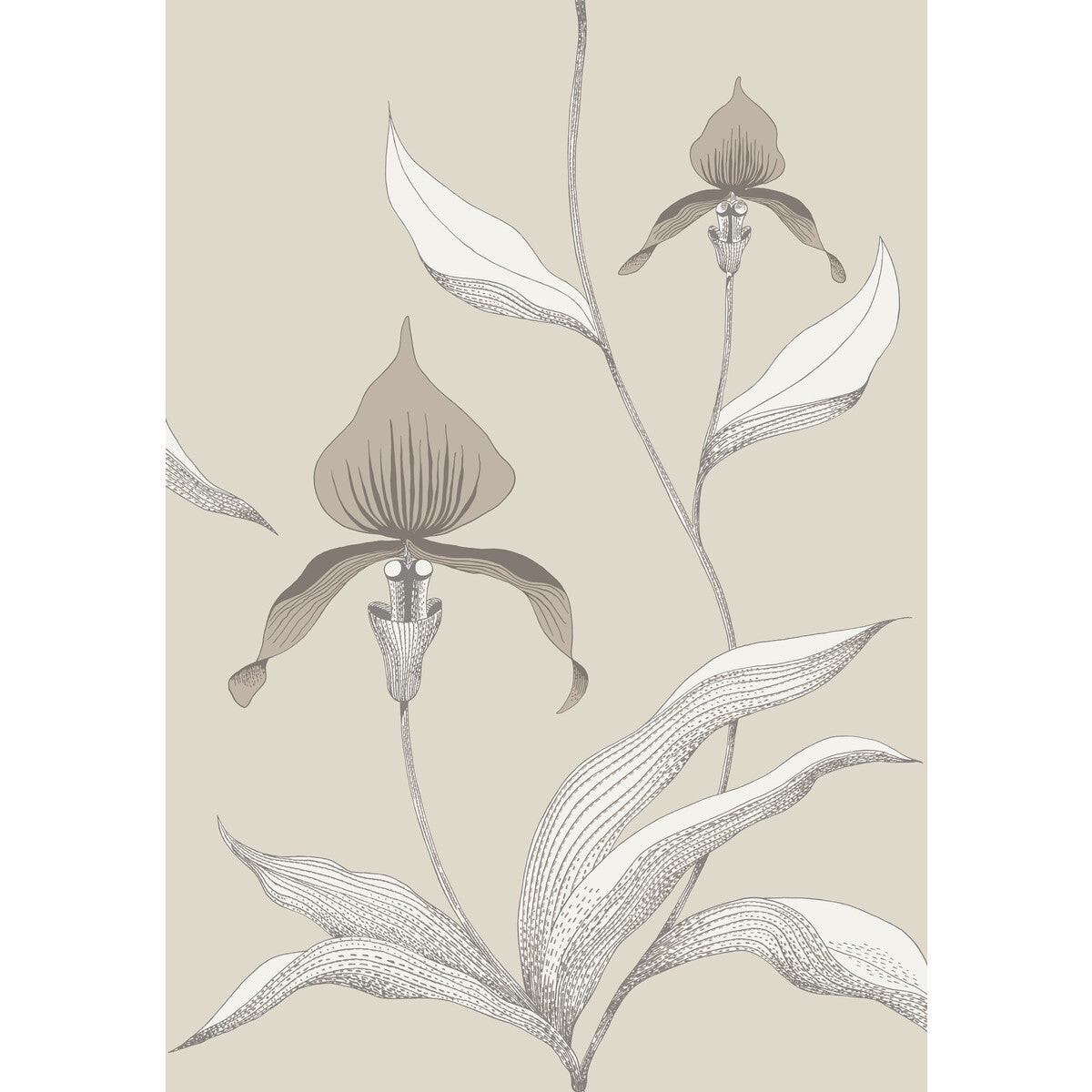 Cole & Son Orchid Linen/White Wallpaper 95/10058.CS.0