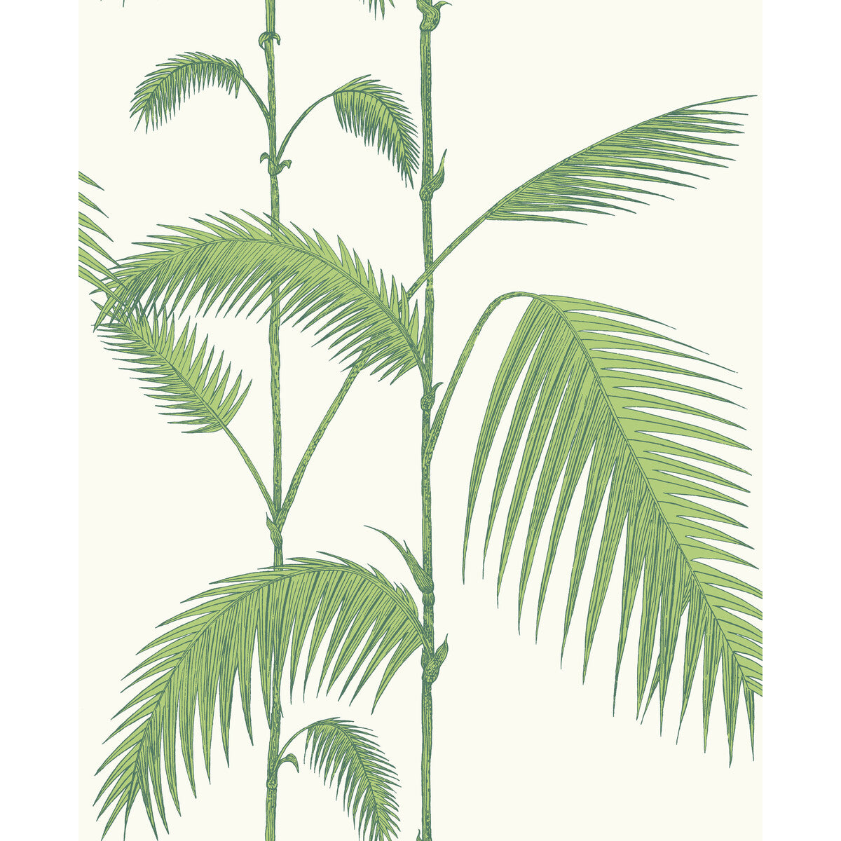 Cole & Son Palm Leaves Green/White Wallpaper 95/1009.CS.0