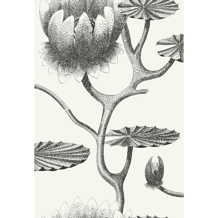 Cole & Son Lily Black/White Wallpaper 95/4020.CS.0