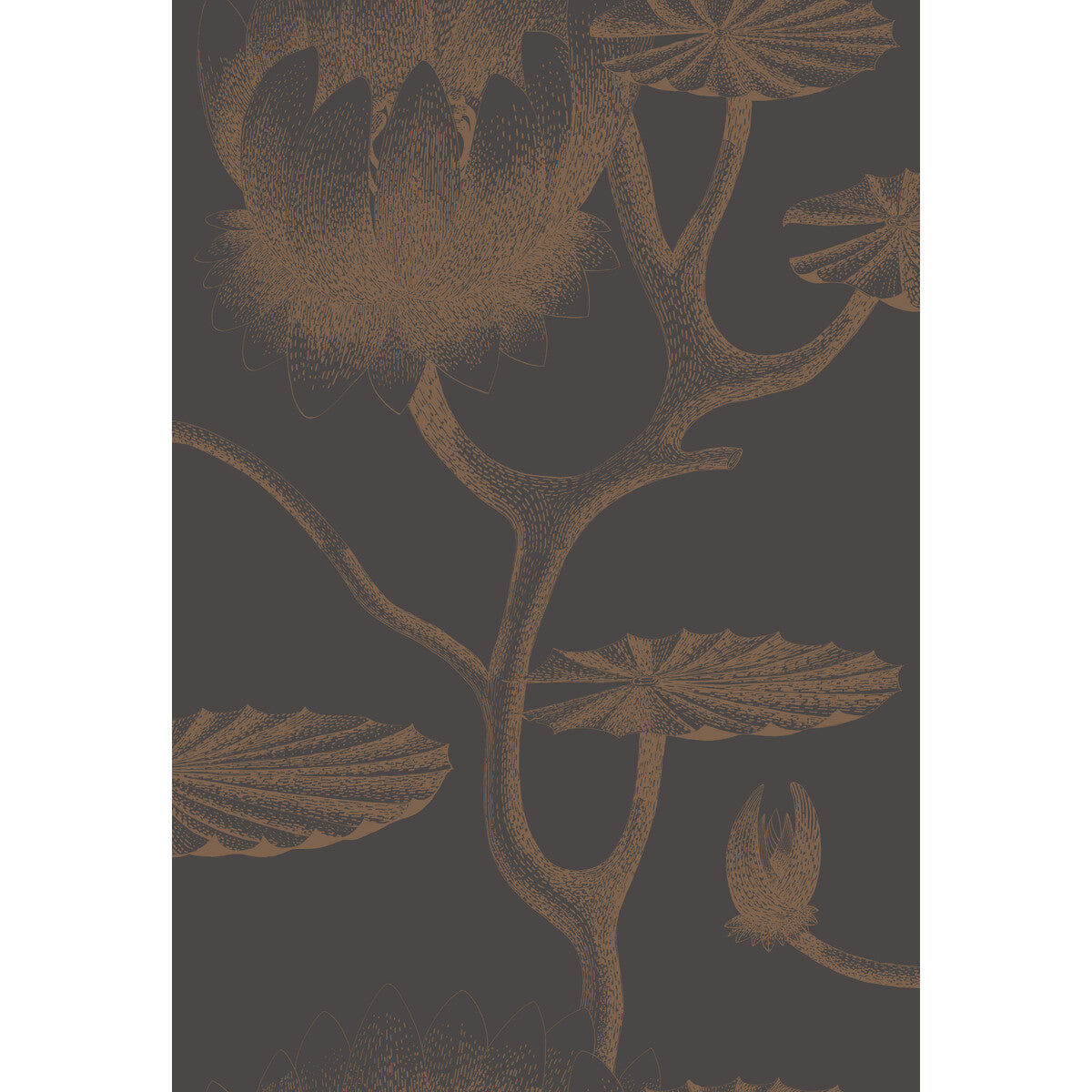 Cole & Son Lily Black/Bronze Wallpaper 95/4021.CS.0