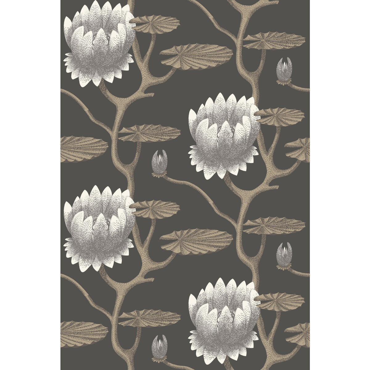 Cole & Son Summer Lily Blk/Wht/Gold Wallpaper 95/4026.CS.0