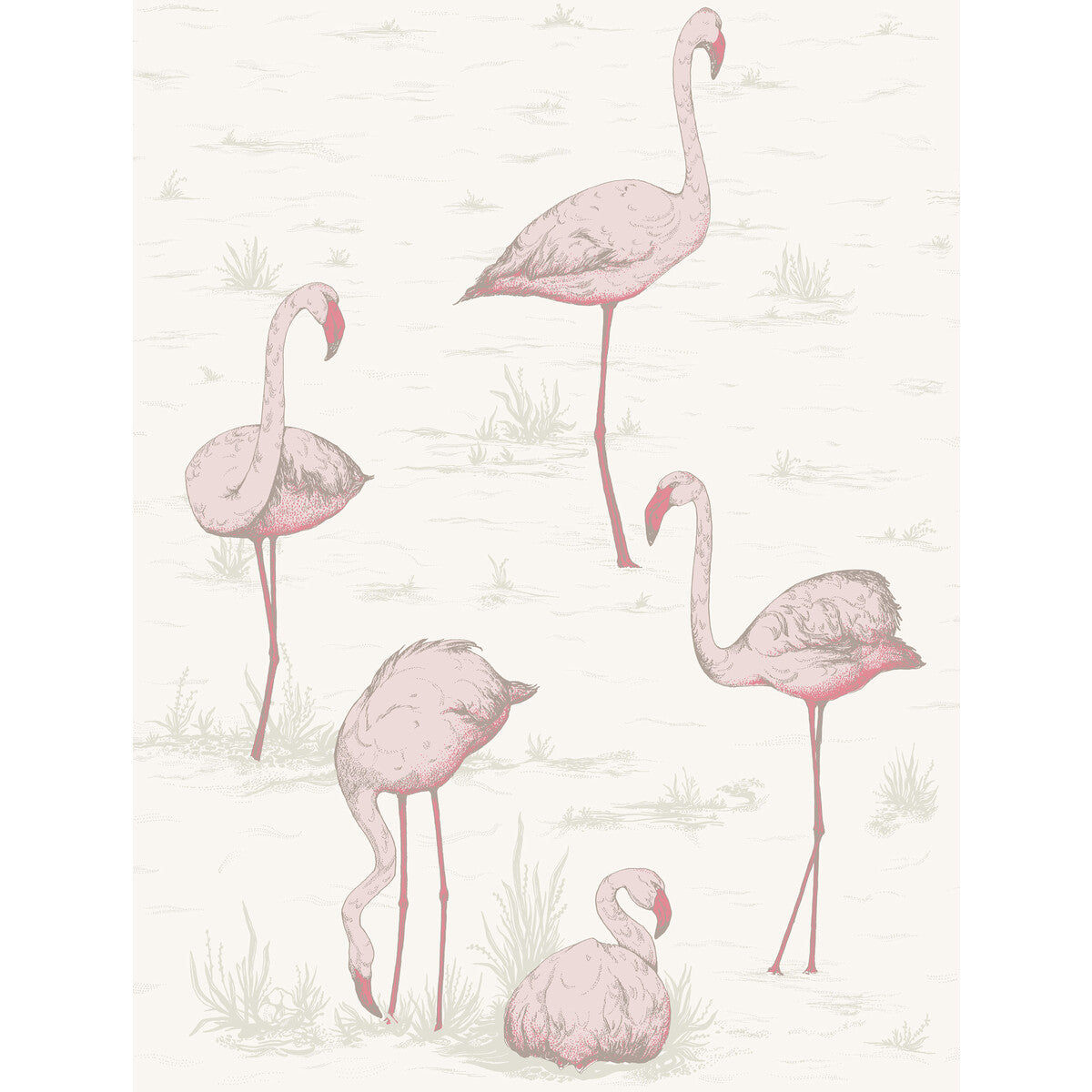 Cole & Son Flamingos Pink/White Wallpaper 95/8045.CS.0