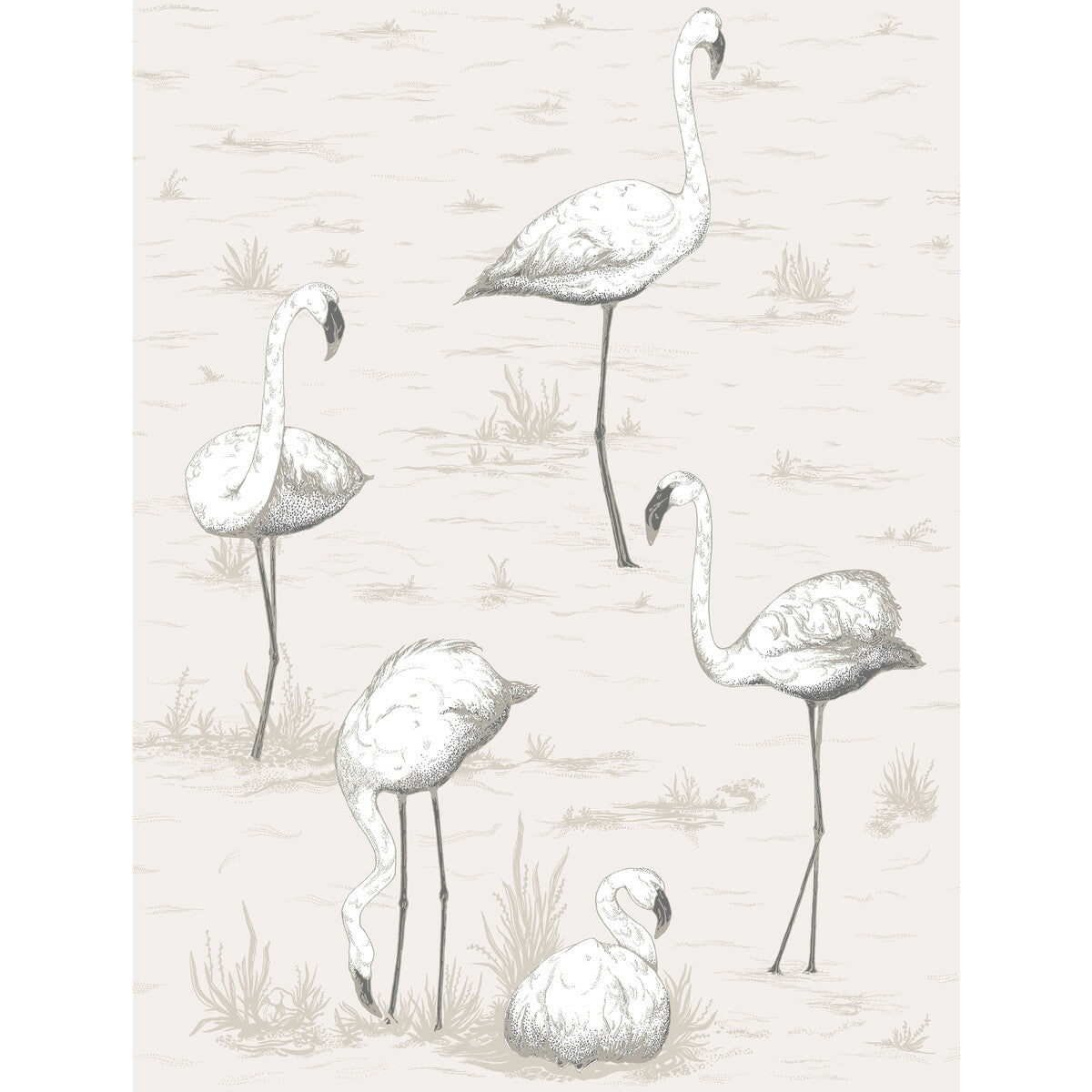 Cole & Son Flamingos Charcoal/Wht Wallpaper 95/8046.CS.0